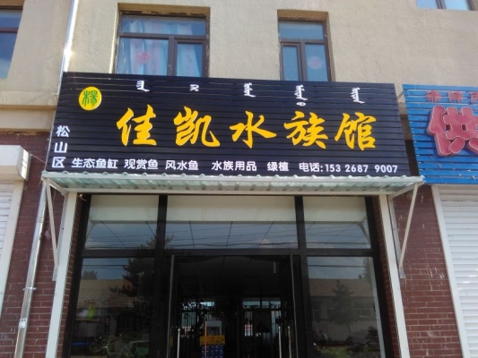 赤峰市紅山駕校的電話是多少-第1張圖片