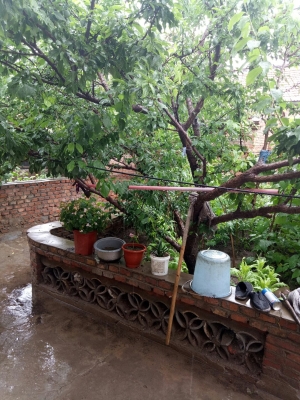 赤峰市大板大街社區(qū)電話號(hào)碼-第1張圖片