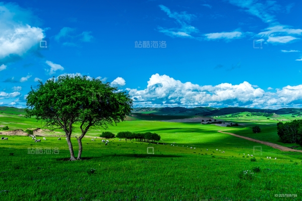 赤峰小梁弓子廠電話多少號(hào)-第1張圖片