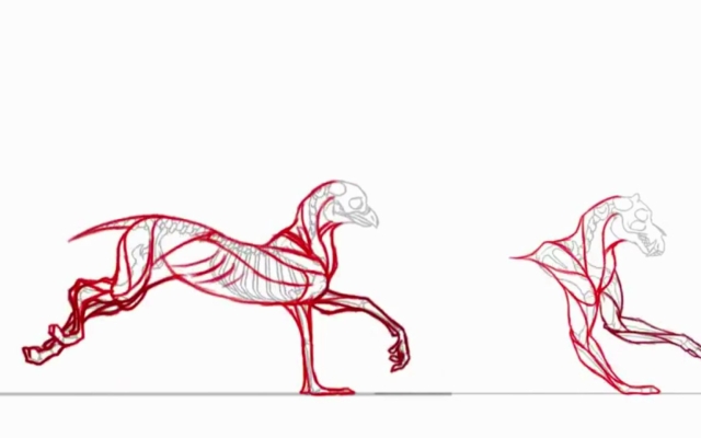 赤峰動(dòng)物解剖檢測(cè)中心電話號(hào)碼-第1張圖片