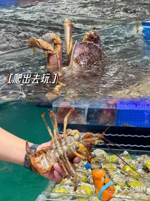 赤峰市海鮮水產(chǎn)店電話(huà)號(hào)碼-第1張圖片