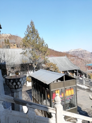 赤峰塑料袋批發(fā)市場-第1張圖片