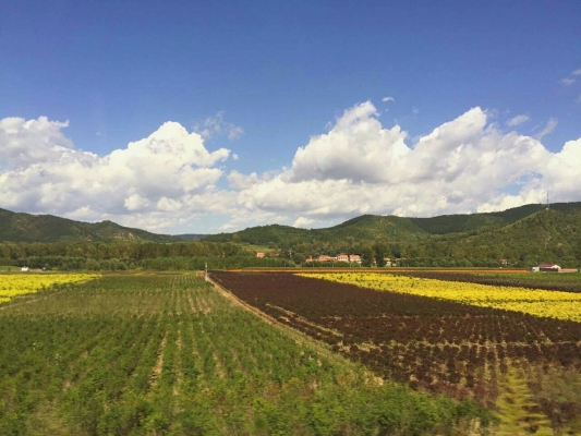 內(nèi)蒙古赤峰地區(qū)電話區(qū)號(hào)是多少-第1張圖片