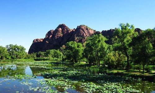 內(nèi)蒙古赤峰紅磚廠(chǎng)電話(huà)號(hào)碼-第1張圖片