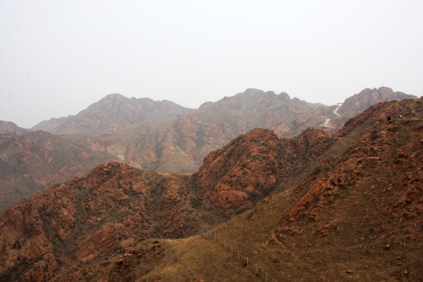 赤峰蜂鳥酒吧電話號(hào)碼多少號(hào)-第1張圖片