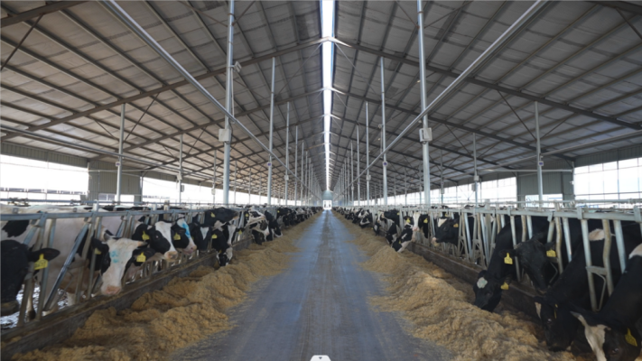 赤峰周邊養(yǎng)殖廠出租電話號(hào)碼-第1張圖片