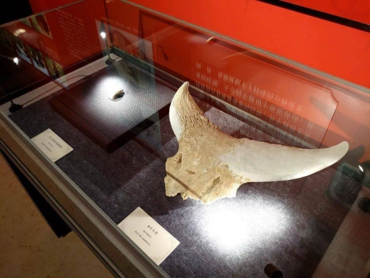 赤峰大鵝牛頭店電話地址查詢-第1張圖片