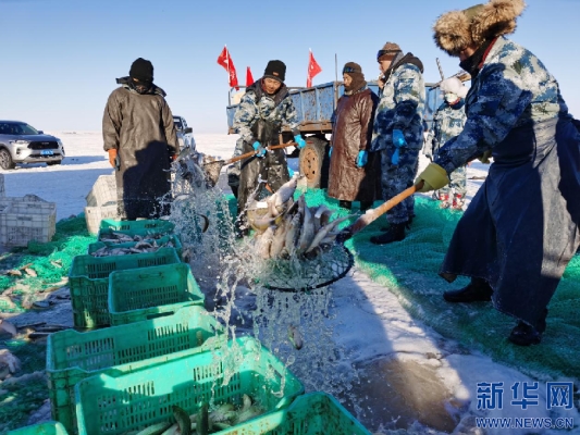 赤峰魚業(yè)批發(fā)電話多少號-第1張圖片