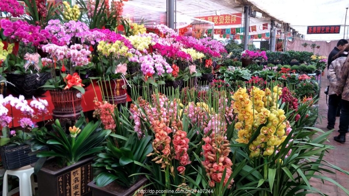 赤峰地攤賣鮮花電話多少號-第1張圖片