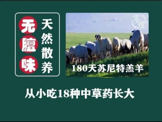 赤峰蘇尼特羊肉火鍋電話號碼-第1張圖片