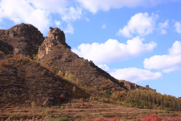 赤峰原野豆制品廠電話號碼-第1張圖片