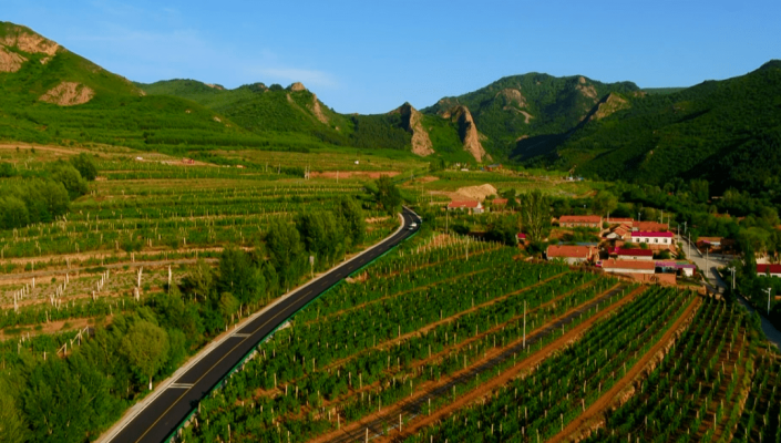 赤峰葡萄園采摘點(diǎn)電話號(hào)碼-第1張圖片