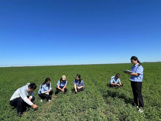 赤峰市牧草銷售公司電話號(hào)碼-第1張圖片