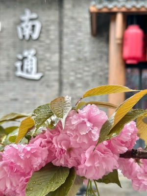 赤峰浪漫櫻花金街店電話號碼-第1張圖片