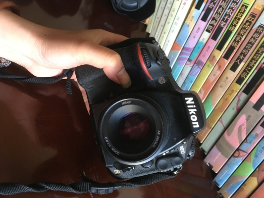 赤峰有賣蜂鳥的嗎電話多少-第1張圖片