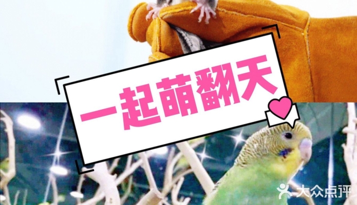 赤峰萌寵互動中心電話地址查詢-第1張圖片