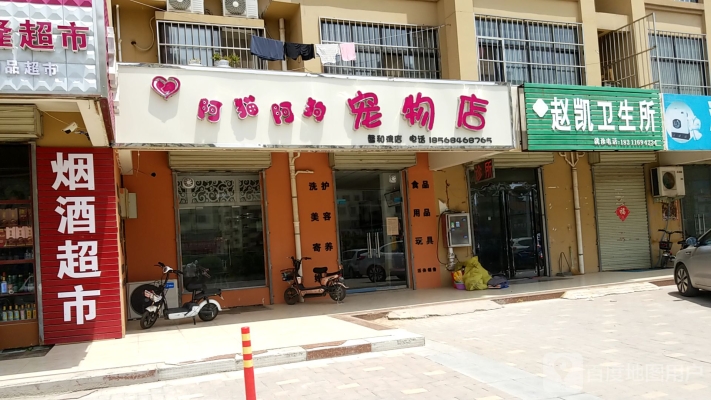 赤峰市寵物店地址-第1張圖片