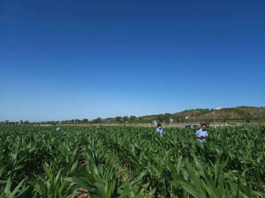 赤峰紅山緝毒隊(duì)電話號(hào)碼是多少-第1張圖片