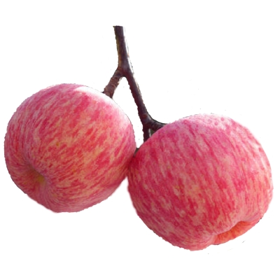 赤峰蘋果果袋公司電話地址查詢-第1張圖片