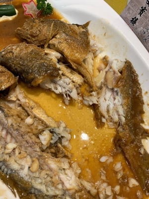 赤峰賣觀賞海魚電話號(hào)碼是多少-第1張圖片