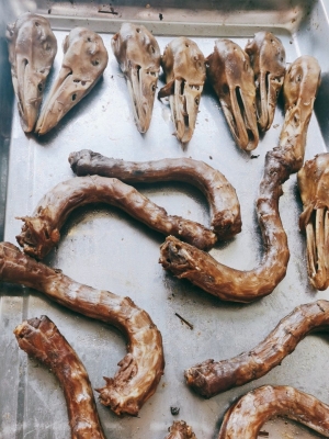 赤峰麻辣甲魚(yú)火鍋店電話(huà)號(hào)碼-第1張圖片