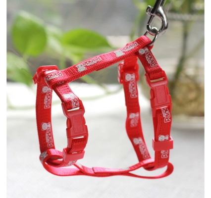 赤峰寵物回收店電話(huà)號(hào)碼查詢(xún)-第1張圖片