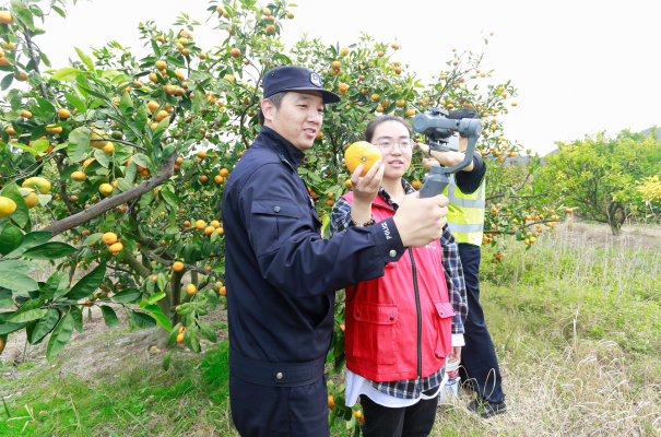 赤峰采摘直播平臺(tái)電話地址查詢-第1張圖片