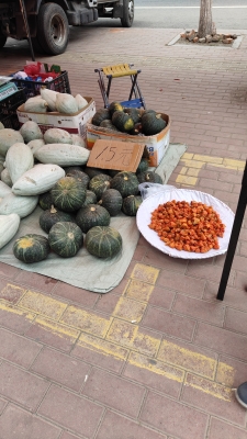 赤峰吊瓜代收電話多少號-第1張圖片