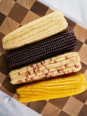 赤峰鴻馬包裝廠電話號(hào)碼-第1張圖片