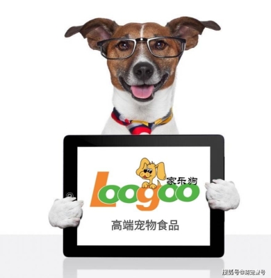 赤峰投喂流浪狗電話號(hào)碼-第1張圖片