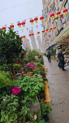 赤峰烏丹暖棚賣花房電話號碼-第1張圖片