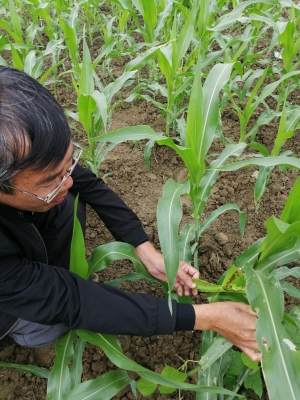 赤峰縣魯貢鎮(zhèn)政府電話號碼-第1張圖片