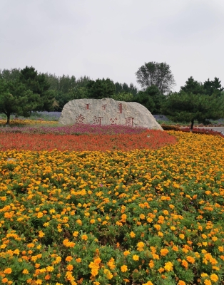 赤峰植物園社區(qū)門診電話號碼-第1張圖片