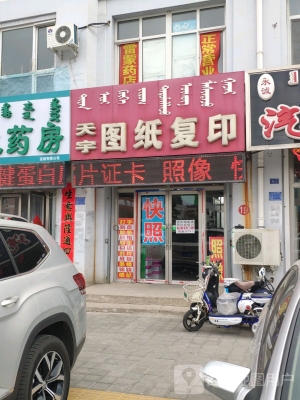 赤峰地?cái)傎u鮮花電話號(hào)碼多少-第1張圖片