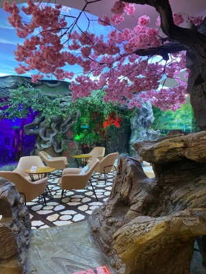 赤峰漫游太空藝術(shù)館電話號(hào)碼-第1張圖片