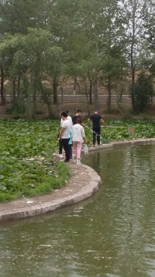 赤峰東郊玻璃廠電話號(hào)碼-第1張圖片