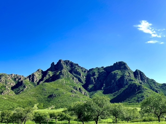 赤峰源泰隆物流電話號碼-第1張圖片