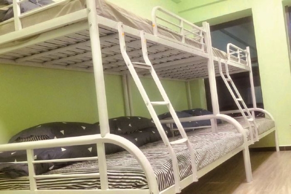 赤峰貓咪民宿電話號碼多少-第1張圖片