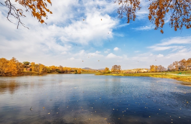 赤峰百卉園電話地址查詢號碼-第1張圖片