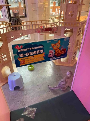 赤峰新華書店批發(fā)電話號碼-第1張圖片