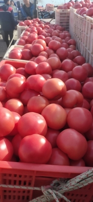 赤峰盛世伊品超市電話號(hào)碼-第1張圖片