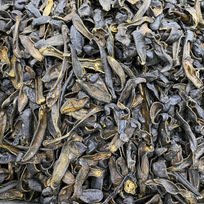 赤峰水蛭收購電話多少啊-第1張圖片