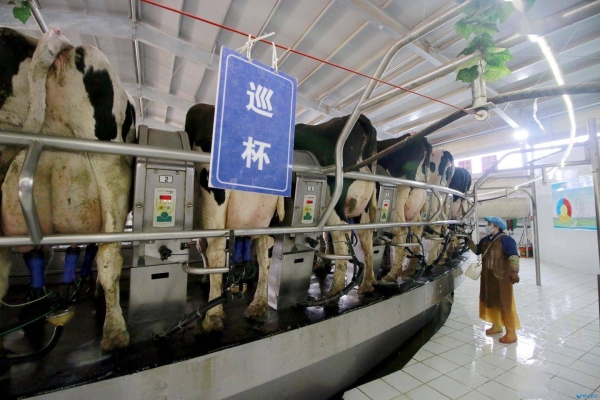 赤峰奶制品購物電話號碼查詢-第1張圖片