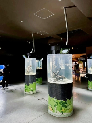 赤峰海底世界水族館電話號(hào)碼-第1張圖片