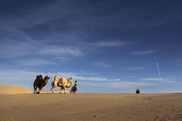 赤峰到奈曼順風車電話號碼-第1張圖片