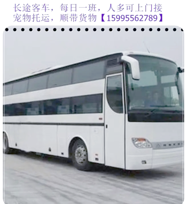 赤峰至四平客車(chē)電話號(hào)碼-第1張圖片