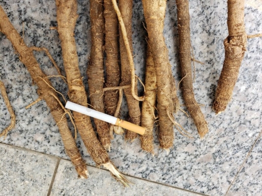 赤峰賣昆蟲的地方電話地址查詢-第1張圖片