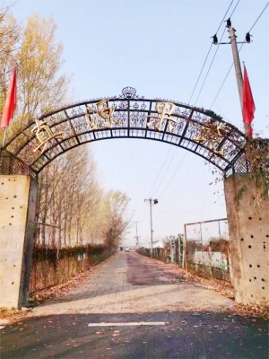 赤峰蔬菜大棚安裝公司電話(huà)號(hào)碼-第1張圖片