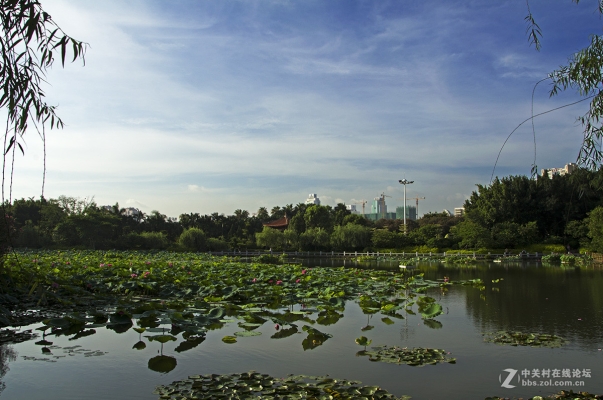 赤峰荷塘盛宴婚宴電話號(hào)碼查詢(xún)-第1張圖片