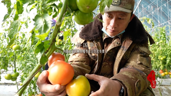 赤峰韭花采摘基地電話號碼-第1張圖片